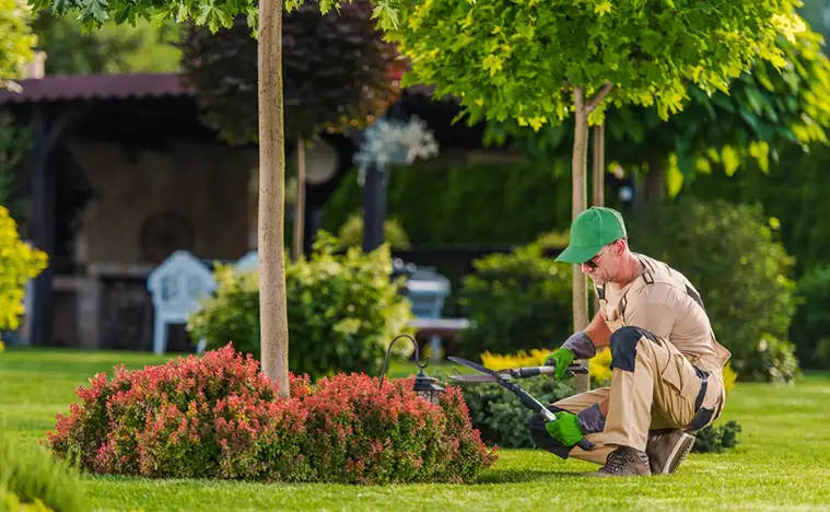 Landscaping Landscape Maintenance A landscaper trimming the flowers in a garden.