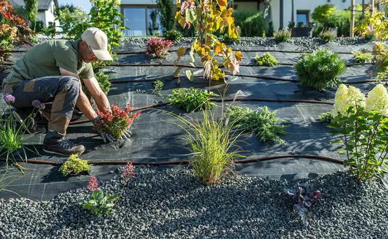 Landscaping Seasonal Planting & Enhancements A landscaper planting shrubbery.