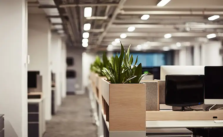 Empty office, interior and design for creative business, co working space and computer of agency furniture. Building, plants and minimal workspace for designer startup, digital tech or cubicle layout